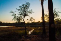 Peace-2017-05-09-scaled